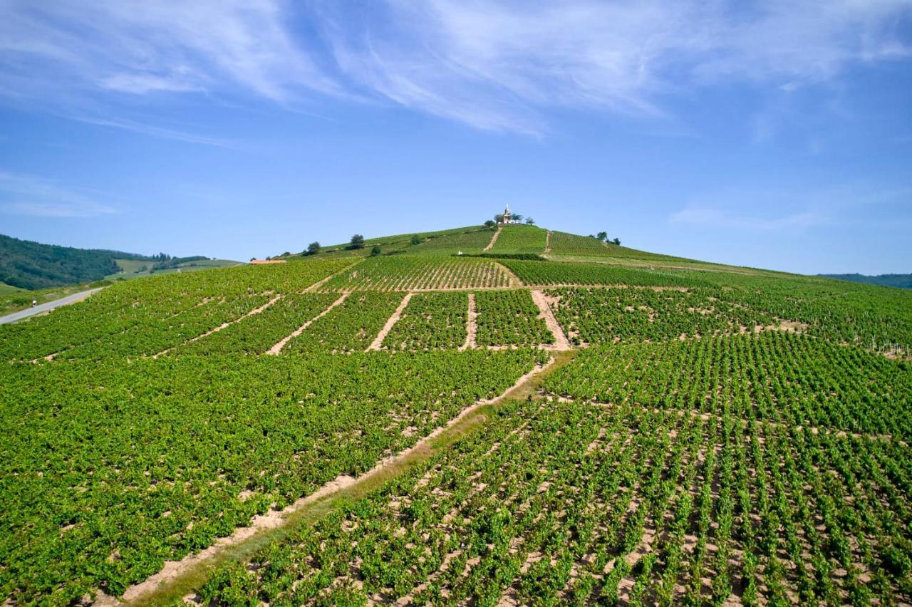 Les Glycines - Domaine Gilles Coperet Panzió Régnié Kültér fotó