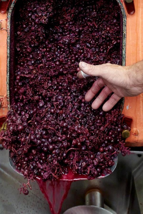 Les Glycines - Domaine Gilles Coperet Panzió Régnié Kültér fotó