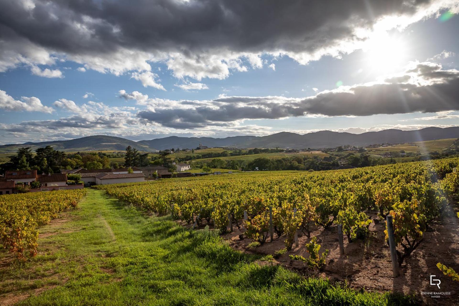 Les Glycines - Domaine Gilles Coperet Panzió Régnié Kültér fotó