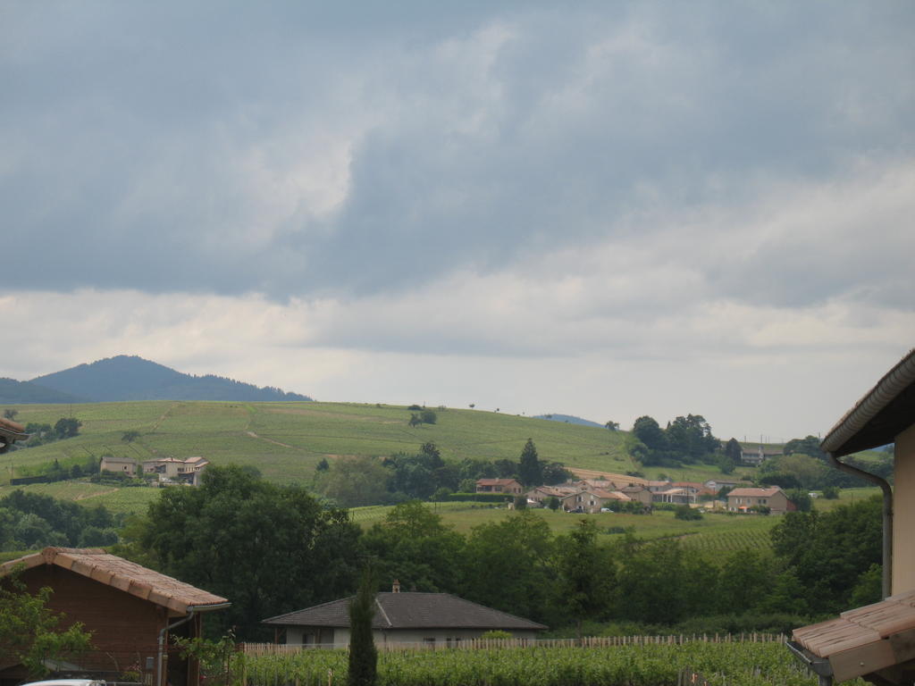 Les Glycines - Domaine Gilles Coperet Panzió Régnié Kültér fotó